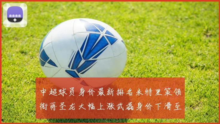中超球员身价最新排名米特里策领衔蒋圣龙大幅上涨武磊身价下滑至50万