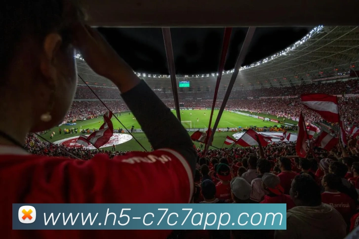 C7C7娱乐平台生态图