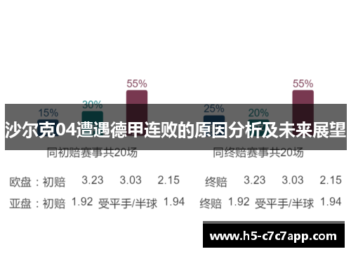 沙尔克04遭遇德甲连败的原因分析及未来展望